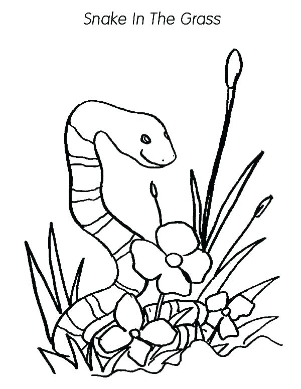 600x776 Grass Coloring Pages Love Shaped Grass Coloring Pages Seagrass