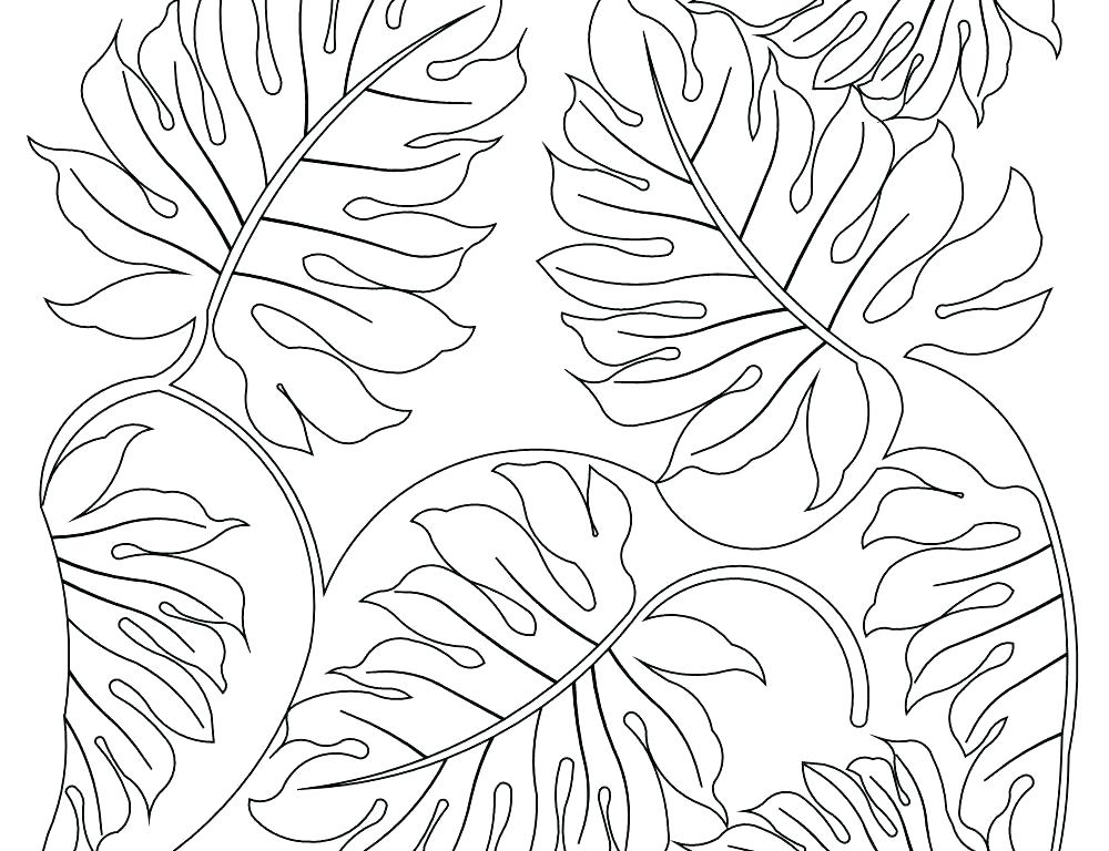1000x768 Rainforest Plants Coloring Pages Plants Coloring Pages Grass