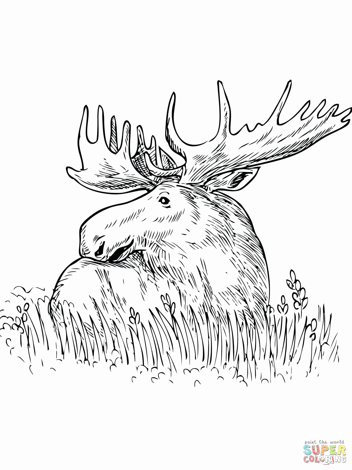 1500x2000 Coloring Grass Coloring Pages Free Printable Grass Coloring Pages