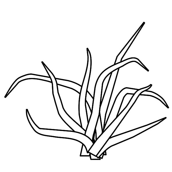 600x600 Free Printable Coloring Pages