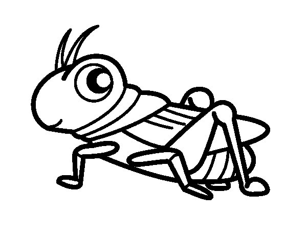 Grasshopper Coloring Page