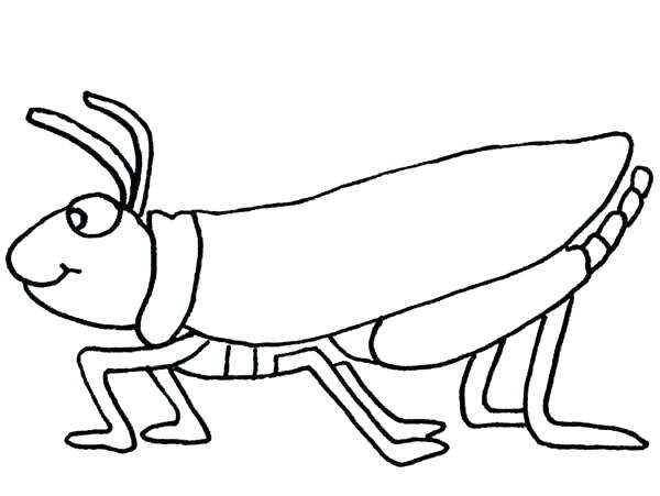 600x451 Grasshopper Coloring Page Young Little Pages Wesmec.site
