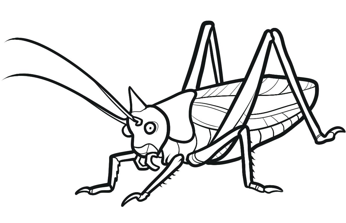 1193x767 Coloring Pages For Adults Quotes Insect Colouring In Weddings