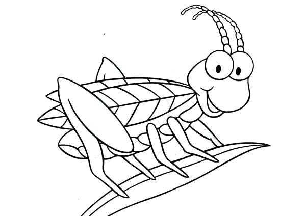 600x424 Grasshopper Coloring Pages Grasshopper Coloring Page Amazing