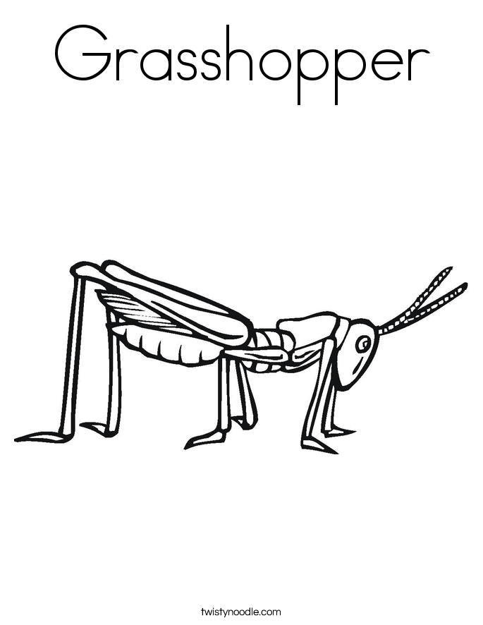 685x886 Grasshopper Coloring Page