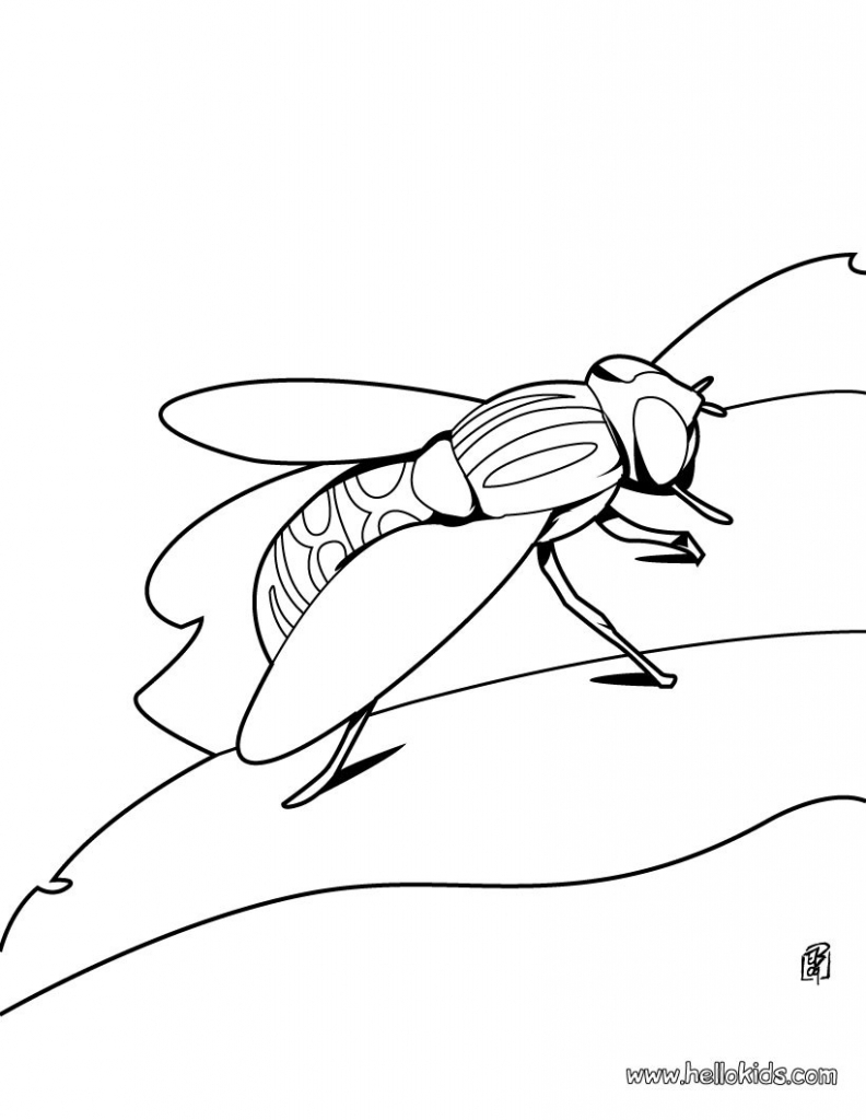 792x1024 Grasshopper Coloring Page