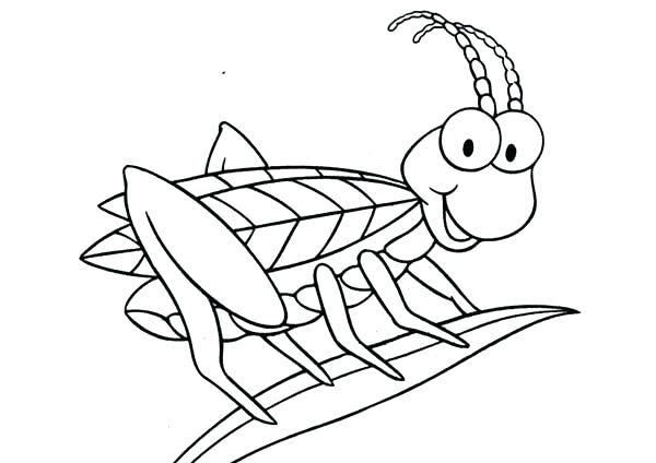 600x424 Grasshopper Coloring Page Grass Coloring Page Coloring Page