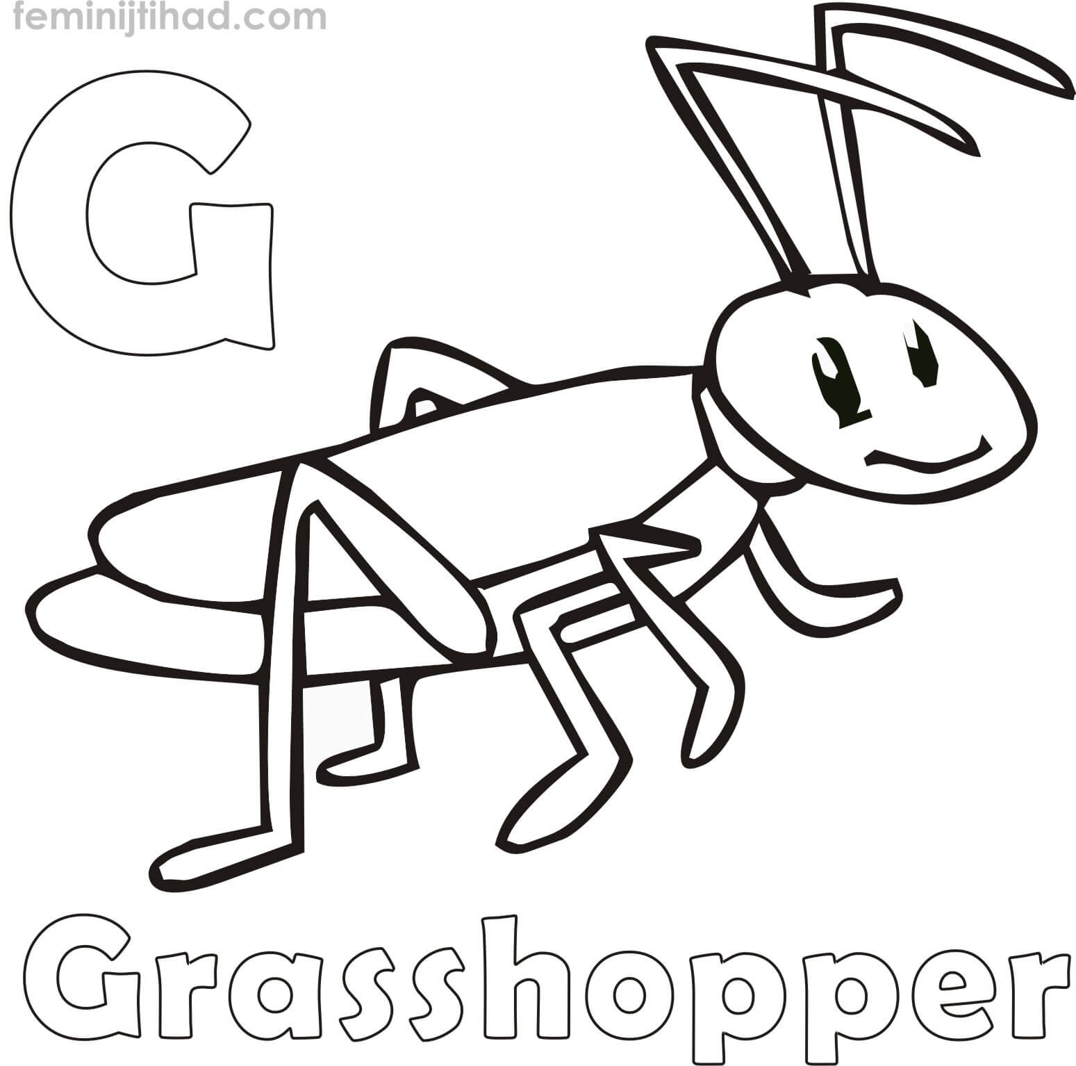 1549x1534 Grasshopper Coloring Pages Coloring Pages For Kids