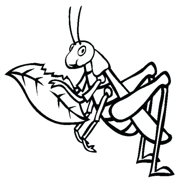600x612 Grasshopper Coloring Pages Ant Coloring Page Grasshopper Coloring
