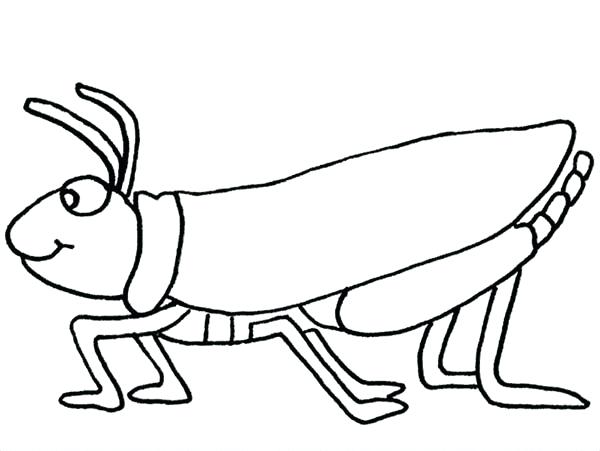 600x451 Grasshopper Eating Leaf Coloring Page Grasshoppers In Papers Music