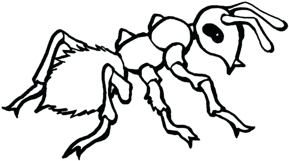 981x545 Coloring Pages Christmas Cards Grasshopper Page Printable Image