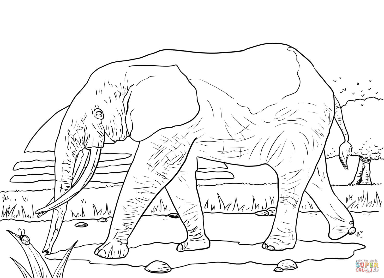 Grassland Animals Coloring Pages