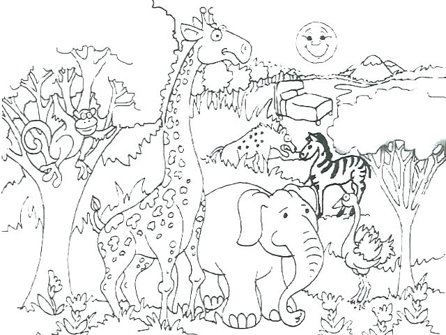 640x480 Fancy Design Desert Animal Coloring Pages Ostrich Runs Grassland