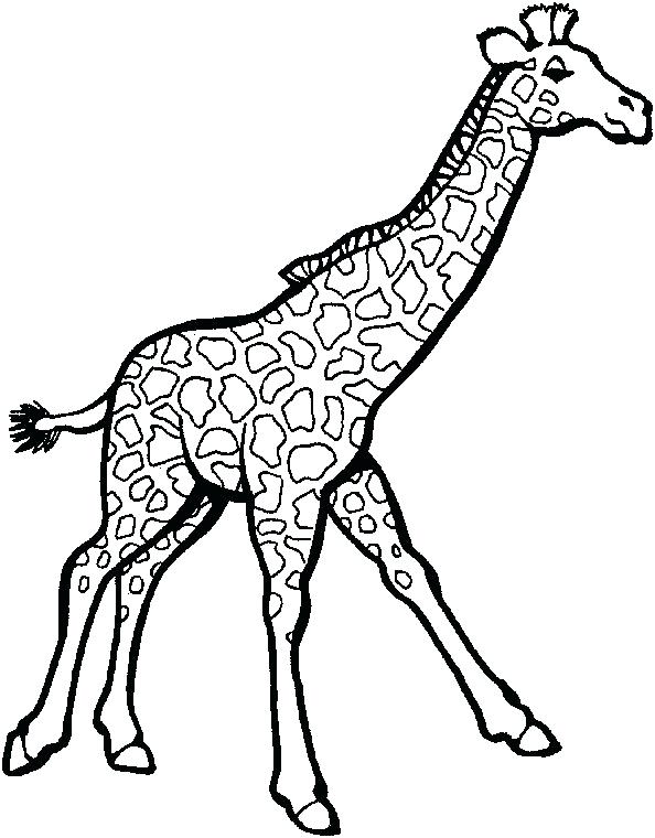 594x760 Grassland Coloring Pages Best Animals Coloring Pages Images