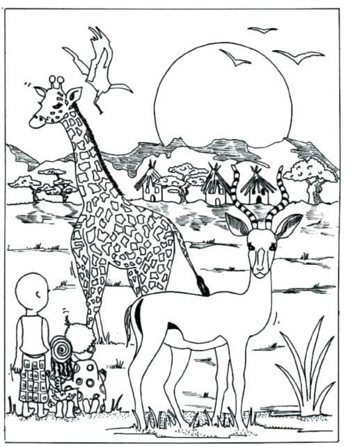 500x643 Grassland Coloring Pages Grassland Animals Drawing Grassland