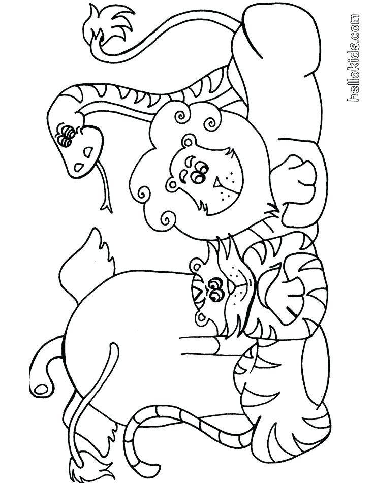 736x951 Grassland Coloring Pages The Big Five On Animals Coloring Pages