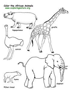 236x305 Savanna (Grasslands) Habitat For The Common Core Classroom