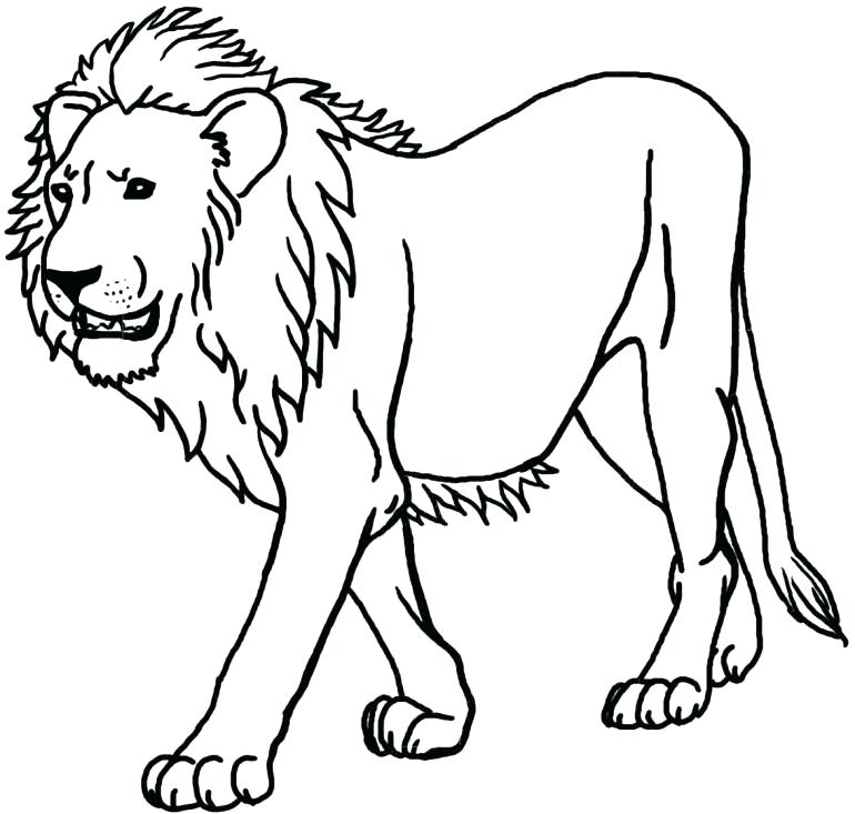 770x733 Coloring Pages Detroit Lions