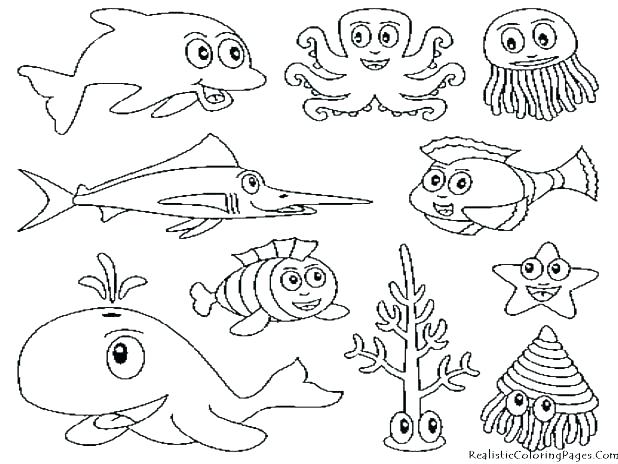 618x464 Coloring Page Animals Jungle Animals Coloring Page Jungle Animals