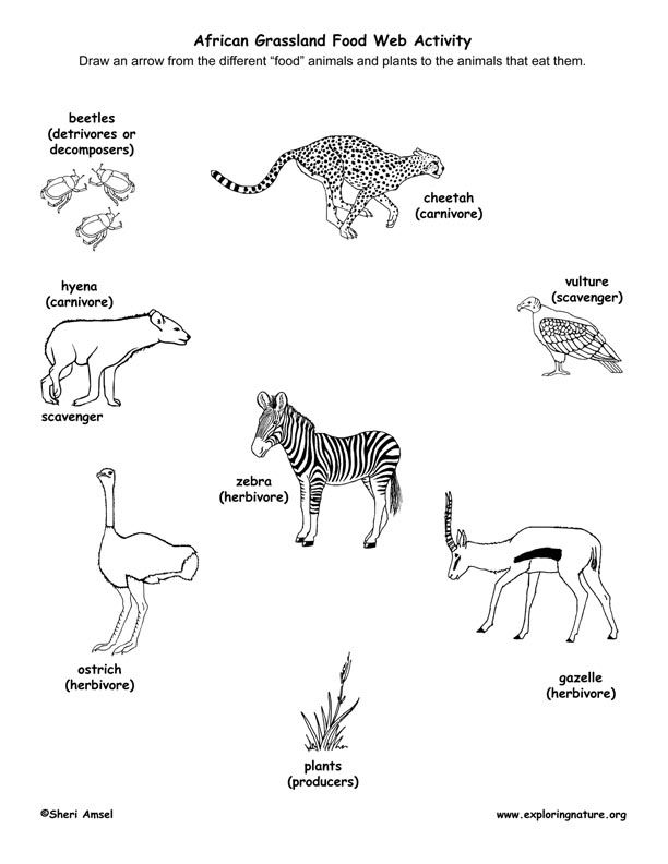 Grassland Coloring Page