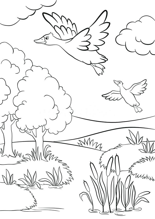 636x900 Grassland Coloring Pages Coloring Pages Of Trees And Grass Flower