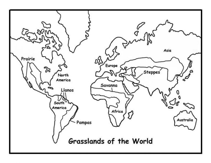 728x563 Grassland Coloring Pages Raovattoanquoc