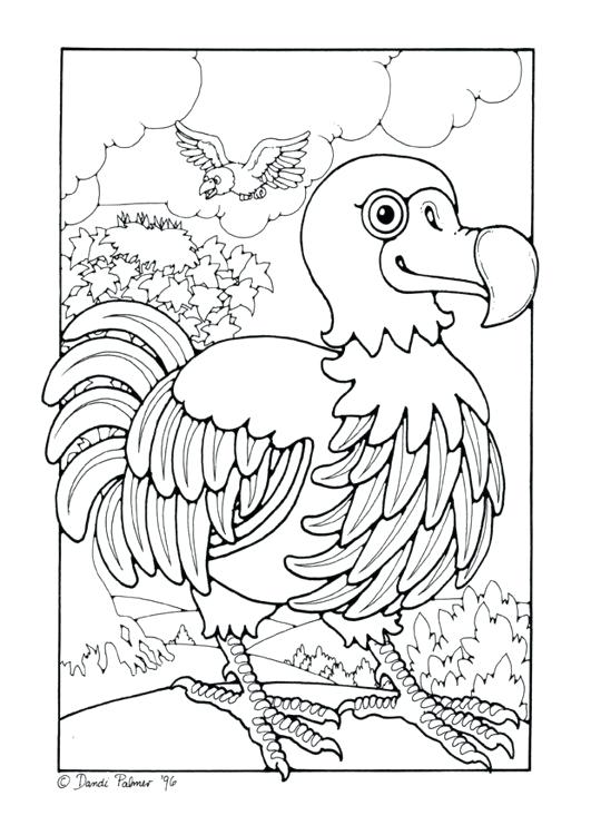 531x750 Dodo Animal Coloring Pages Coloring Page Dodo Color Ideas For Grey