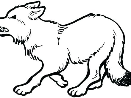 440x330 Grey Wolf Coloring Pages Lovely Grey Wolf Ng Pages Kids Printable