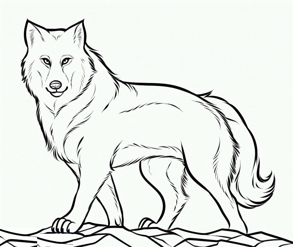 995x839 Wolf Coloring Pages Fresh Running Mexican Grey Wolf Coloring Page