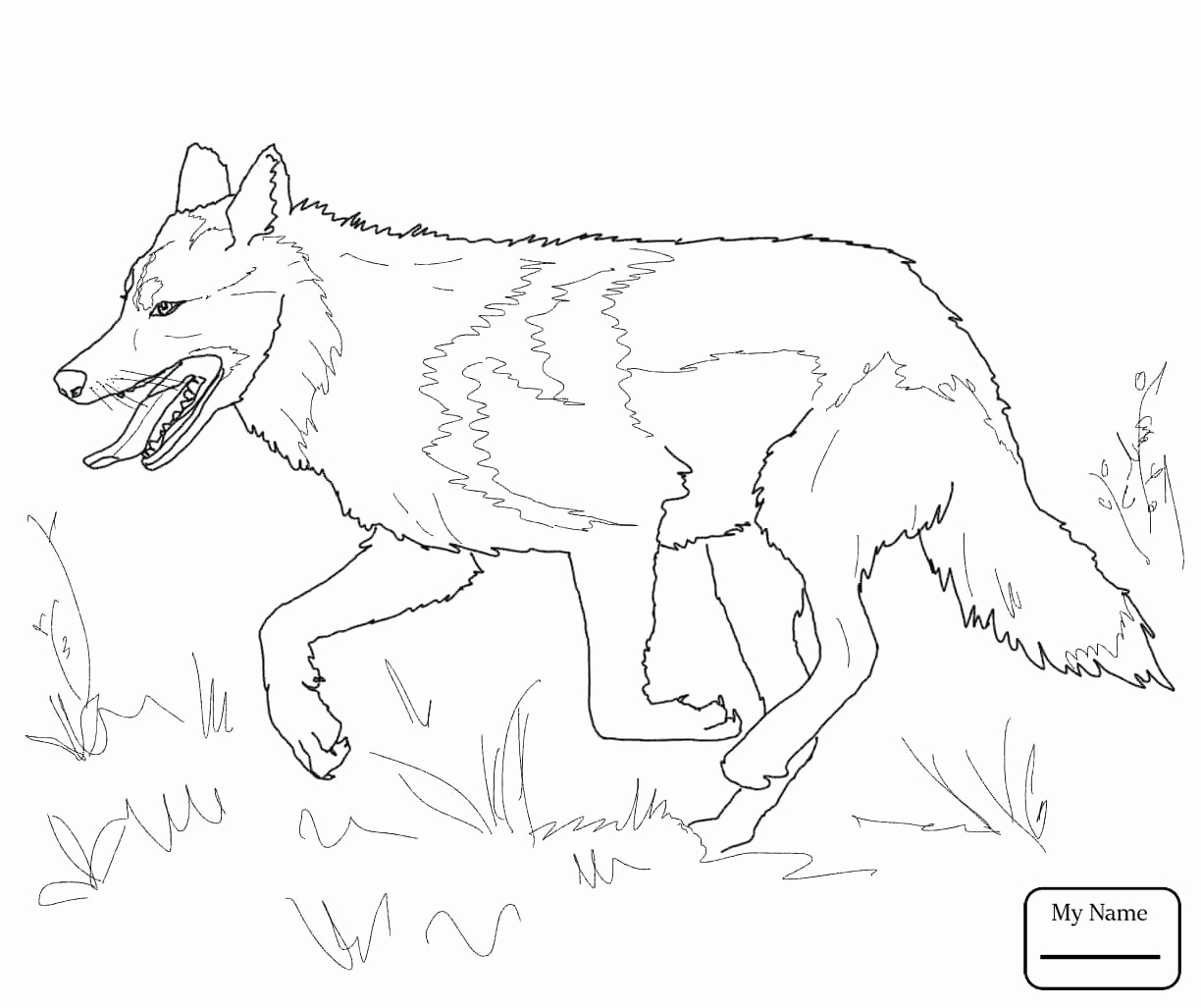 1224x1027 Wolf Coloring Pages For Adults Best Of Gray Wolf Drawing