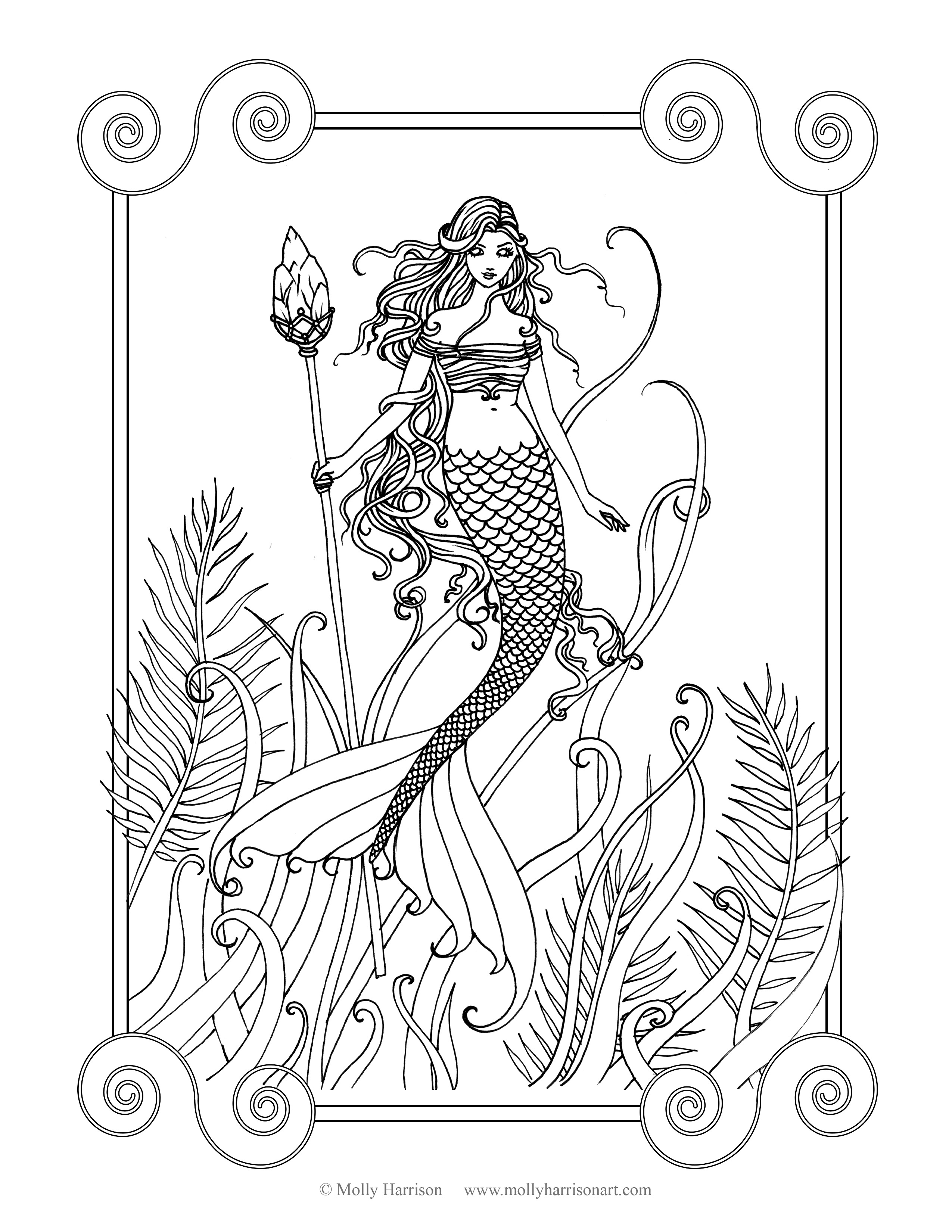 2550x3300 The Fairy Art Fantasy Art Of Molly Harrison Official Shop