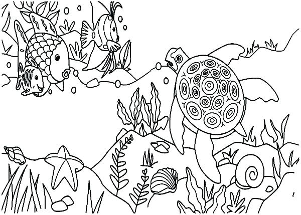 600x429 Coral Reef Coloring Page Coral Reef Coloring Pages Coral Reef