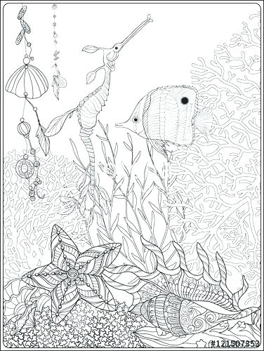 376x500 Great Barrier Reef Coloring Pages Coral Reef Stress Coloring Book