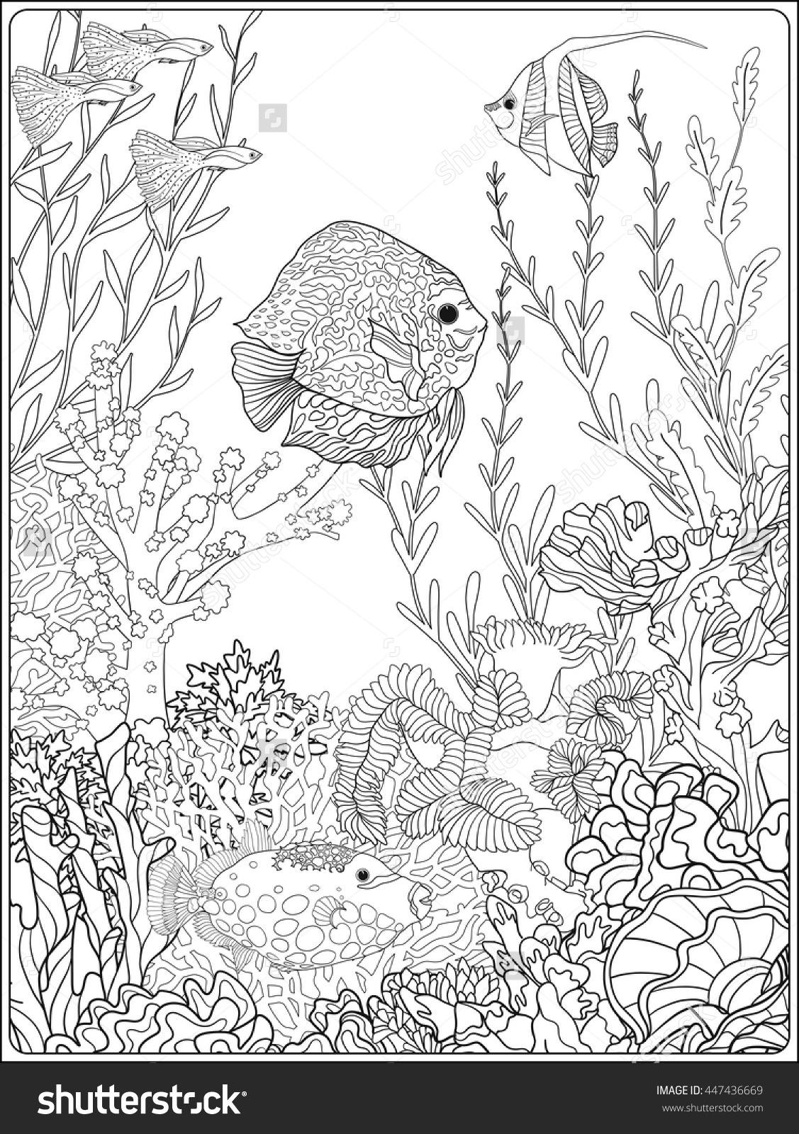 1127x1600 Great Barrier Reef Coloring Pages Magnificent Pictures Of Coral