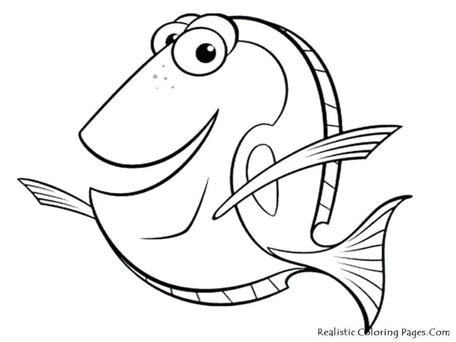 940x705 Coral Coloring Pages Simple Coral Reef Coloring Pages Coral Reef