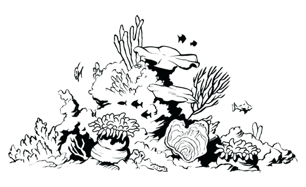 1048x641 Coral Reef Coloring Page Printable Coloring Page