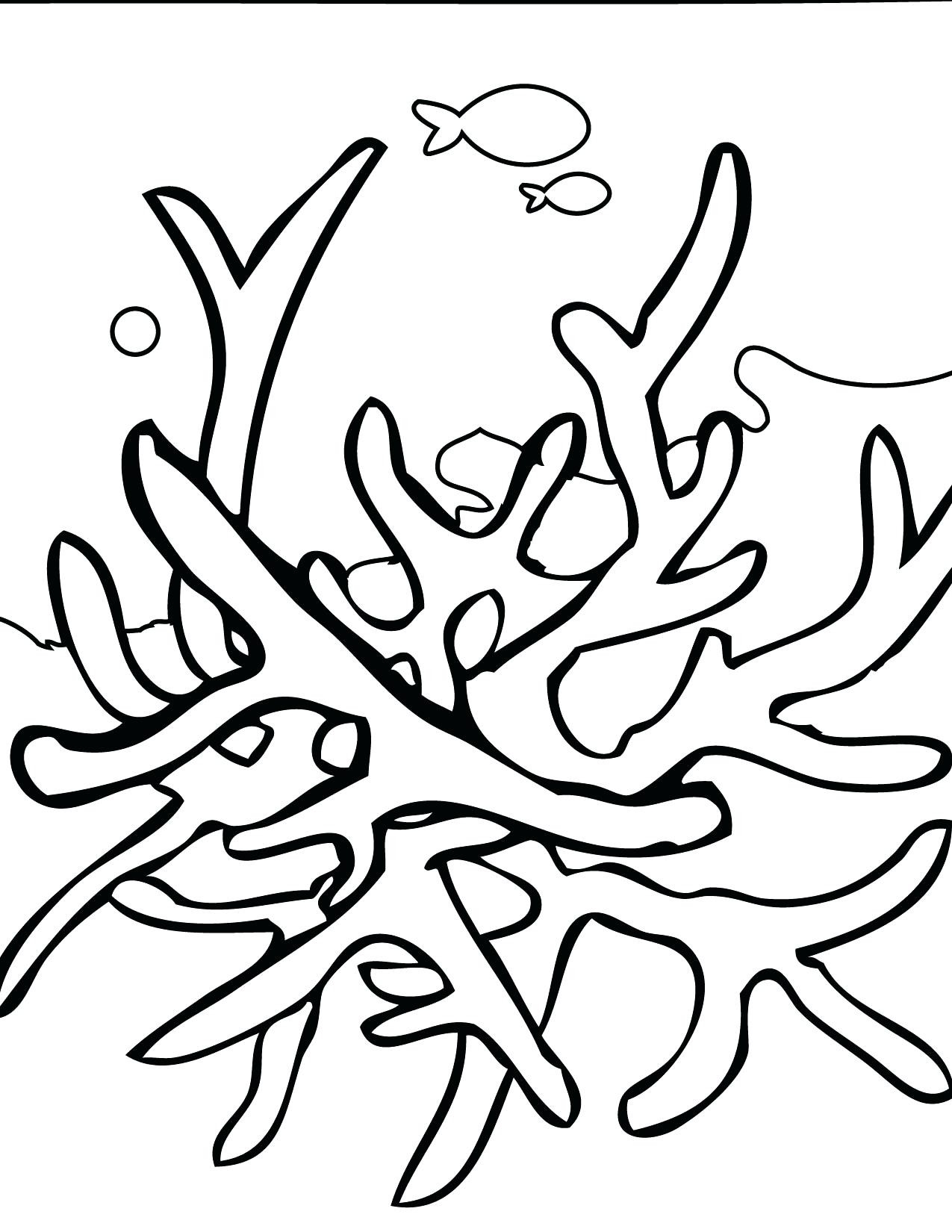 1275x1650 Coral Reef Coloring Page Coloring Pages Coral Reef Coloring Page