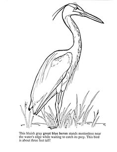 236x306 Image Result For Heron Drawing Spring Flowers Blue