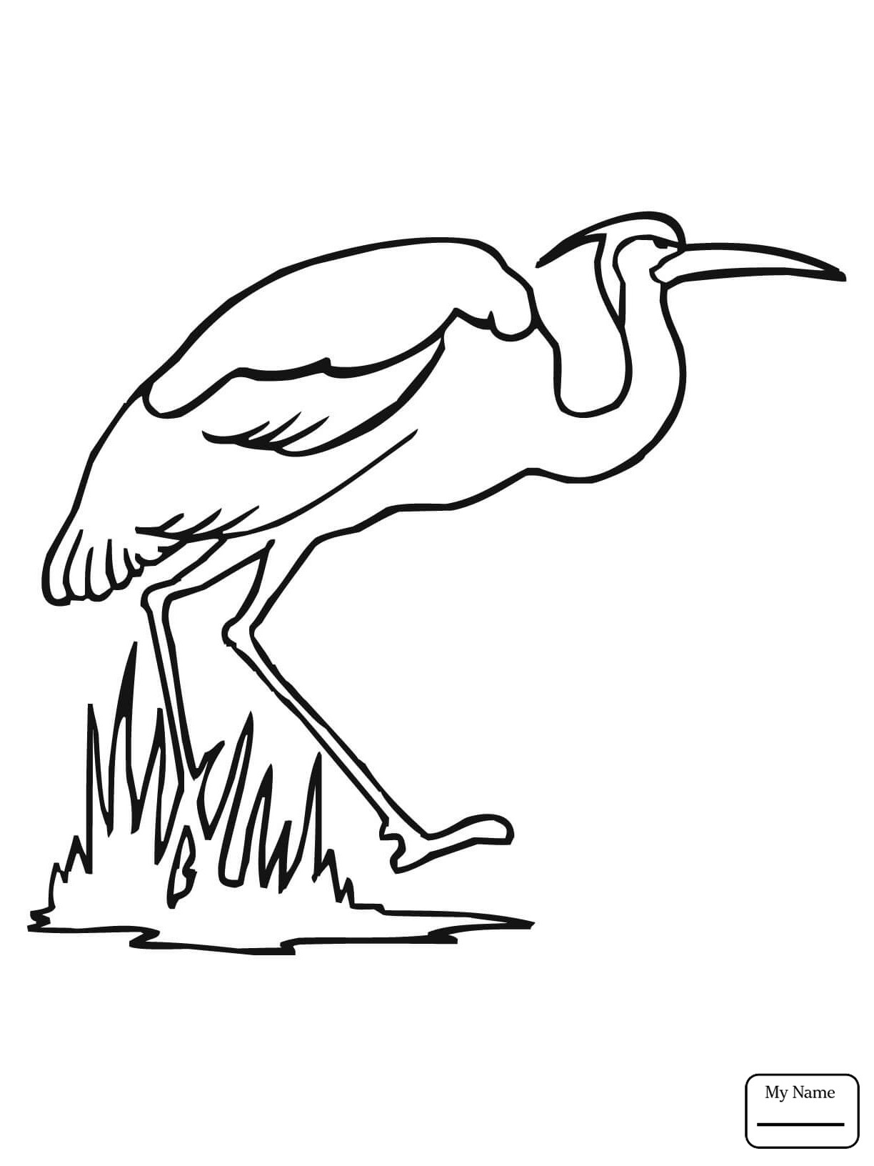 1224x1632 Selected Blue Heron Coloring Page Great Drawin