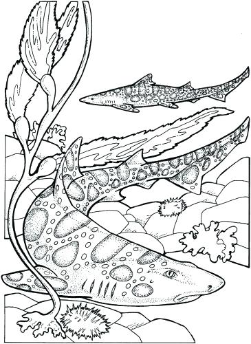 365x500 Flag Coloring Pages Flag Coloring Pages British Flag Printable