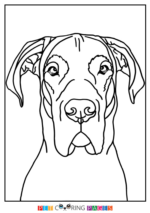500x711 Great Dane Coloring Page Great Coloring Pages Coloring Page Purse