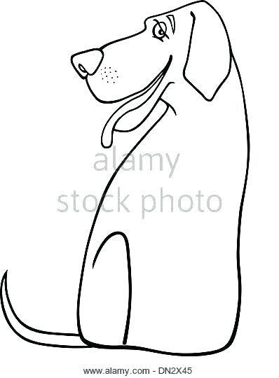 398x540 Great Dane Coloring Pages Great Coloring Pages Harlequin Page