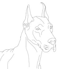 236x225 Dog