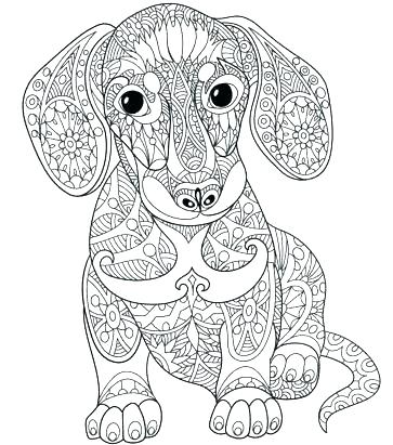 363x411 Free Printable Coloring Page From Sugar Golden Retriever