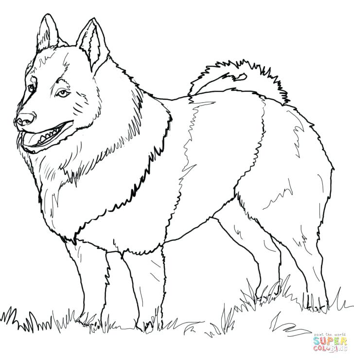 728x738 Great Coloring Pages Home Improvement License Requirements Great