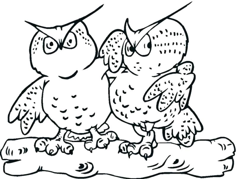 800x606 Great Horned Owl Coloring Page Coloring Pages For Kids To Print