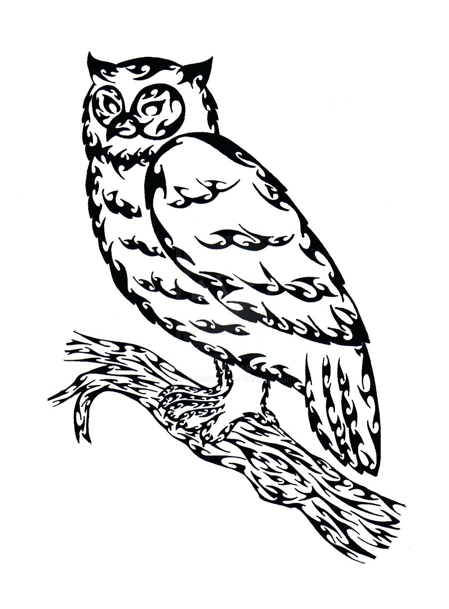 900x1222 Guaranteed Great Horned Owl Coloring Page Draw