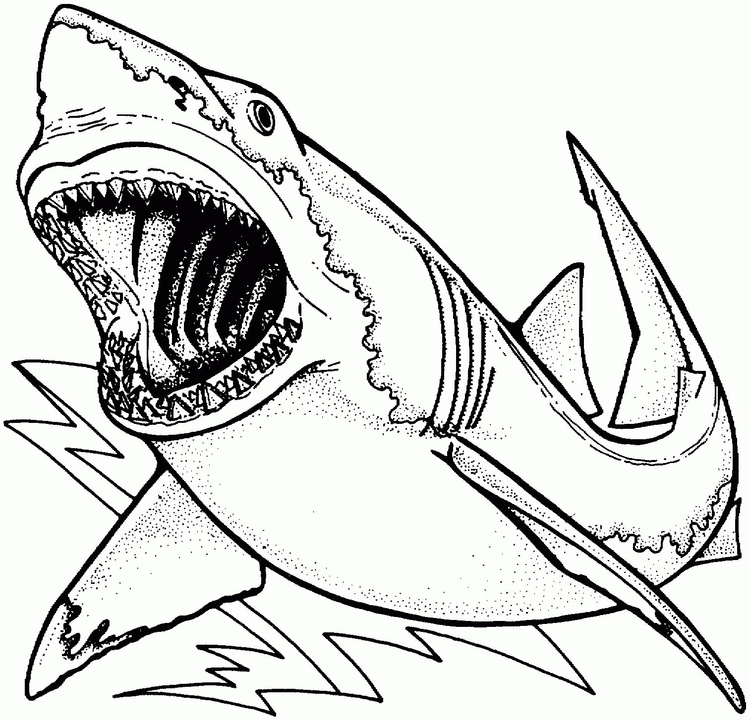 Great White Coloring Pages