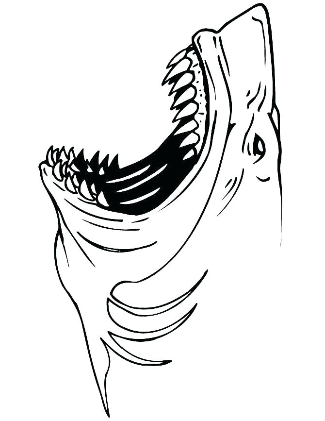 670x867 Printable Shark Coloring Pages