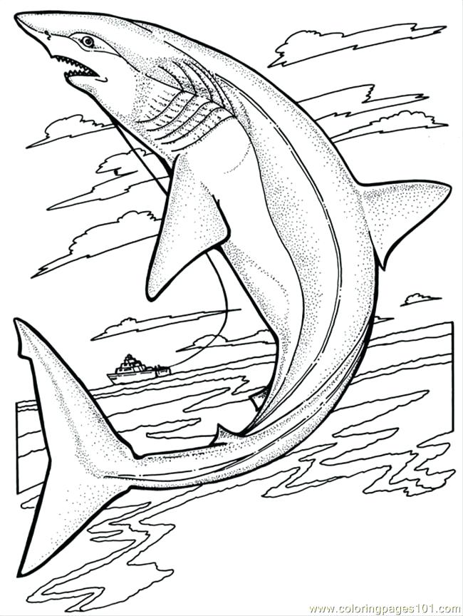650x864 Great White Shark Coloring Pages Shark Printable Coloring Pages